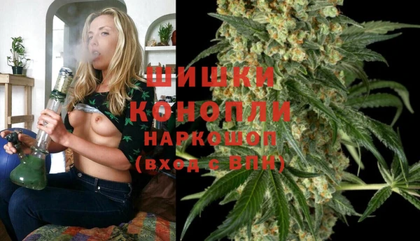 шишки Балабаново