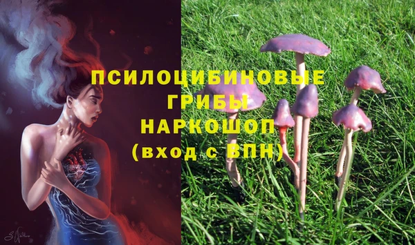 экстази Баксан