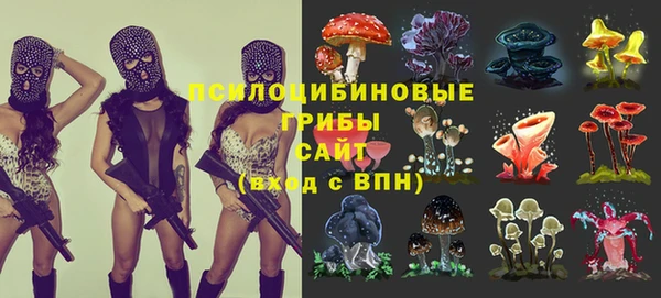 Альфа ПВП Белокуриха