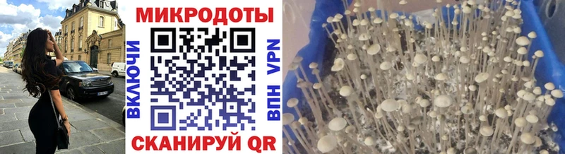 Галлюциногенные грибы MAGIC MUSHROOMS  Невель 