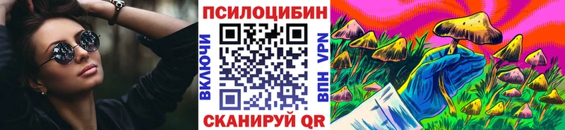 Псилоцибиновые грибы Psilocybe Невель